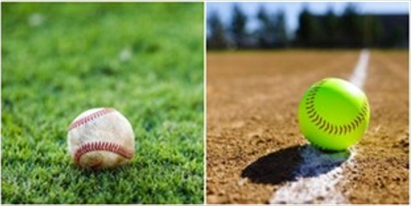 collage of baseball and softball images