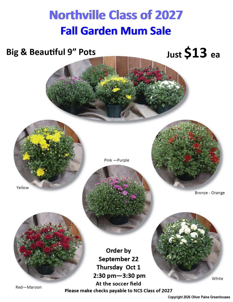 A flyer for the fall, 2026 mum sale at Northville Central School.