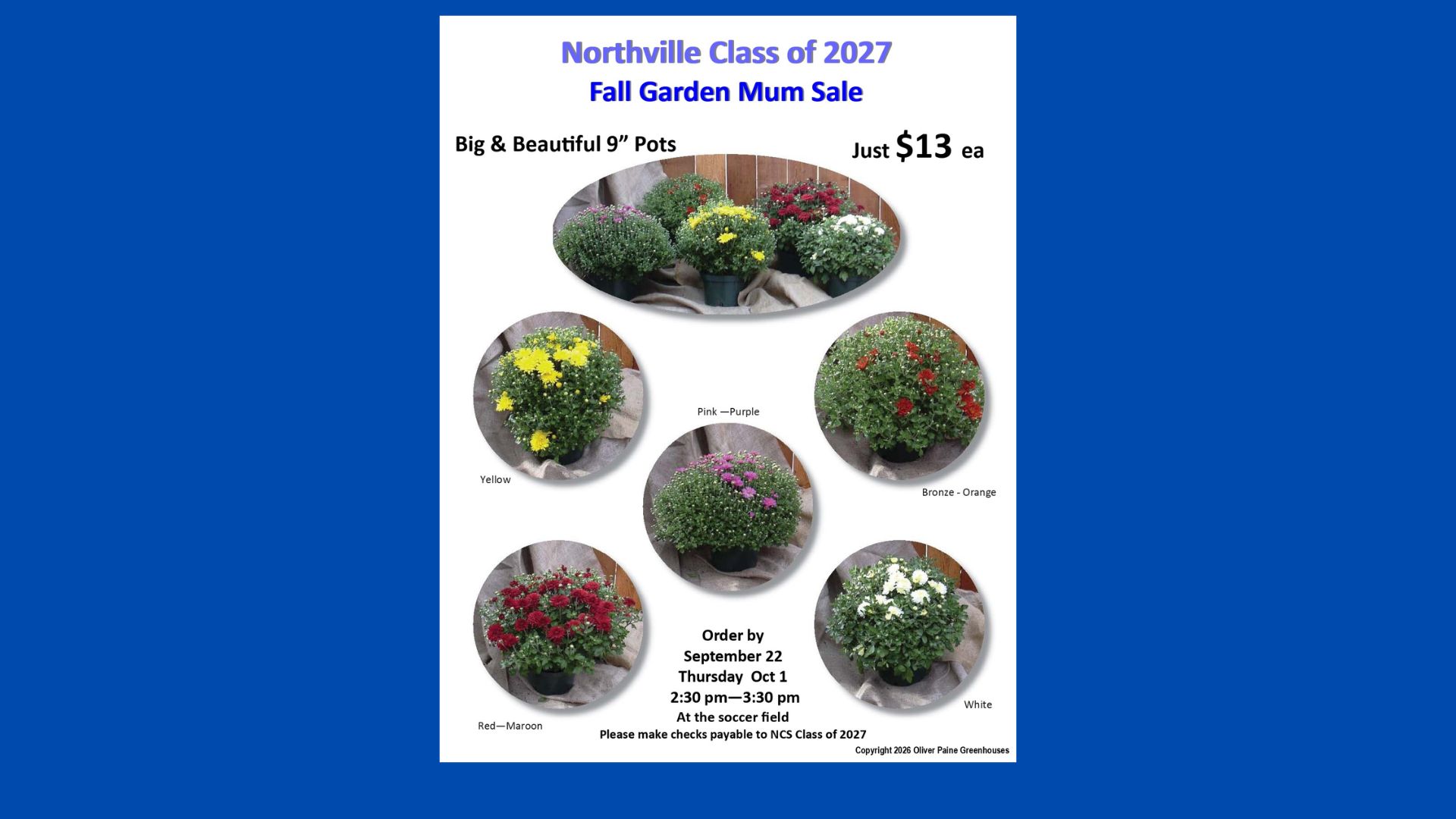 A web slide featuring the flyer for the fall mum sale at Northville Central School.